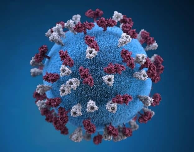 hpv - wirus
