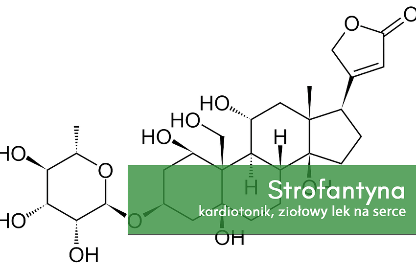strofantyna - kardiotonik